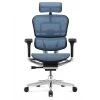 COMFORT Bureaustoel Ergohuman Classic (met Hoofdsteun) - Blauw -ZitMeester ComfortDesign 1000055761