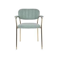 Rein Living Jolien Armstoel - Goud/Lichtgroen - Set Van 2 -ZitMeester ComfortDesign 1000087474 0103