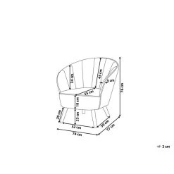 Beliani Fauteuil DALA - Grijs Fluweel 8 Beliani Fauteuil DALA - Grijs Fluweel -ZitMeester ComfortDesign 5a76ba47ccf64e97a73ac65612187e4b 1