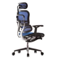 COMFORT Bureaustoel Ergohuman Classic (met Hoofdsteun) - Blauw 7 COMFORT Bureaustoel Ergohuman Classic (met Hoofdsteun) - Blauw -ZitMeester ComfortDesign e9d9a7d3b08747f28a2339ac7ab2cd89