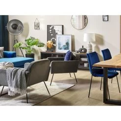 Beliani Fauteuil NARKEN - Grijs Fluweel -ZitMeester ComfortDesign f7228b3b77744f1e998c8f1696986d3a